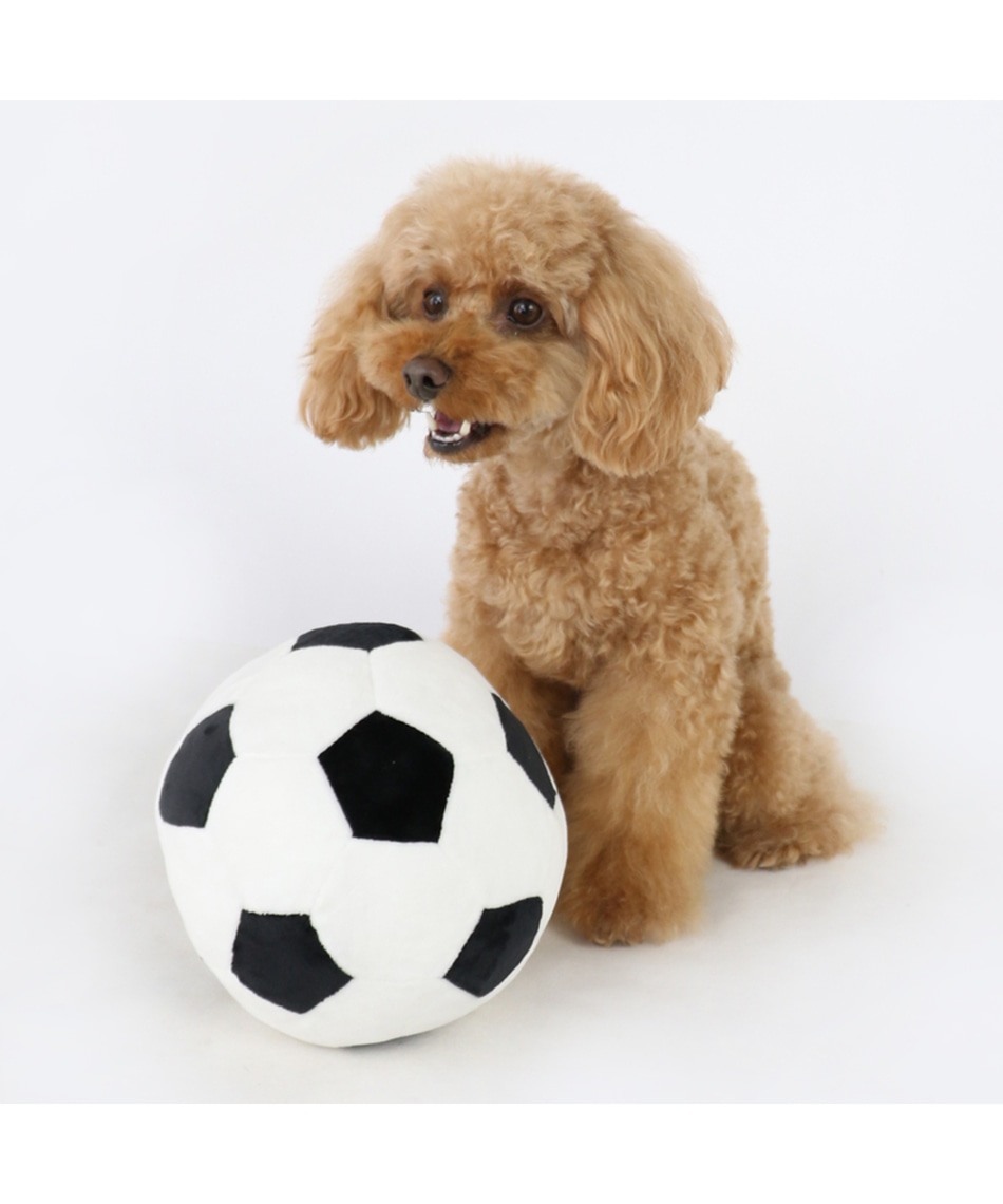 【PET PARADISE】 寵物玩具-鈴鐺足球 大