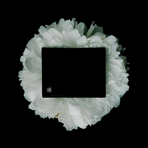 Belysa Lim Card Wallet