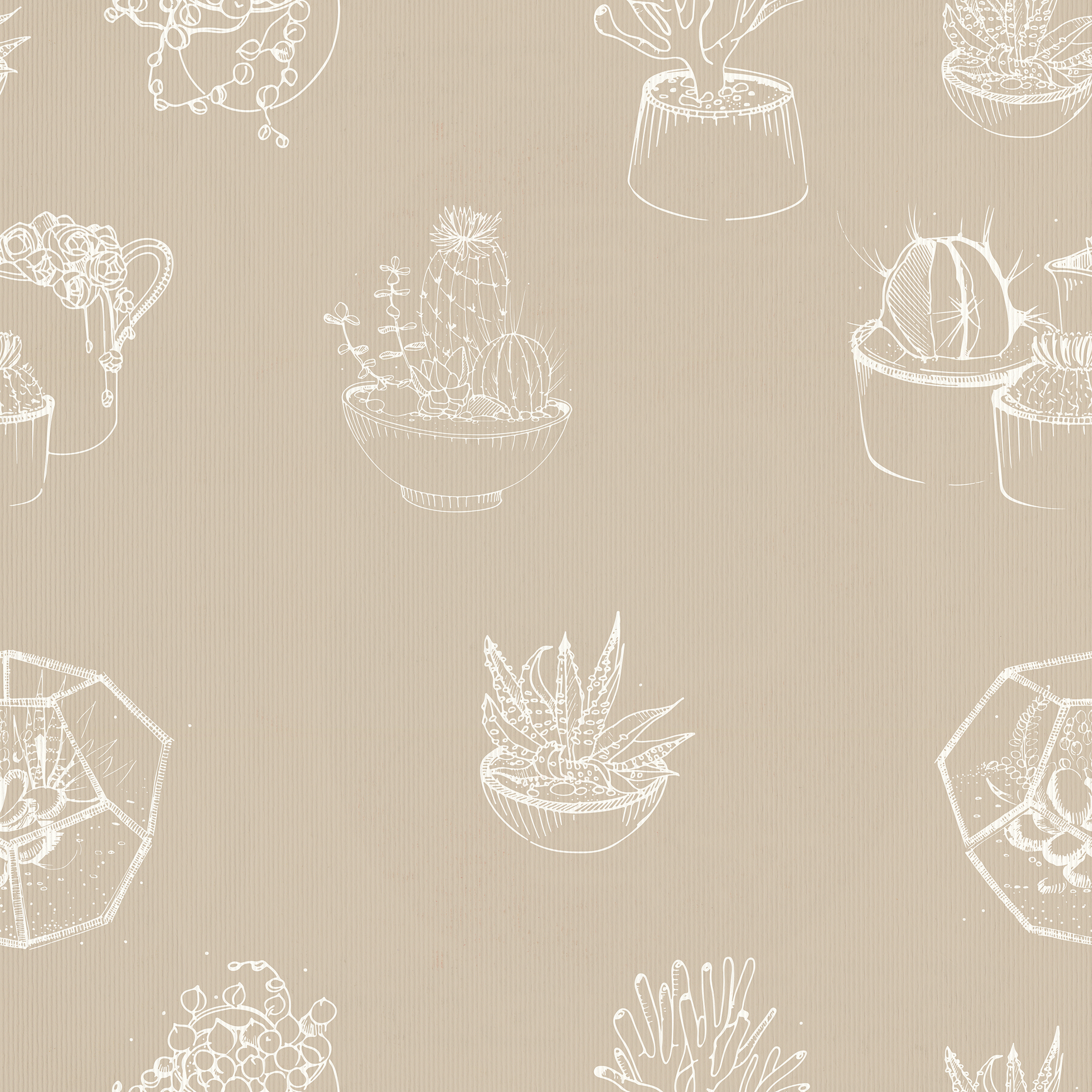 美牆貼貼// 多肉仙人掌(5/10/20片裝)