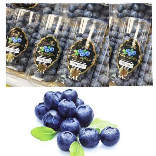 Fruit - Monaco - Blueberry 摩洛哥筒裝藍莓