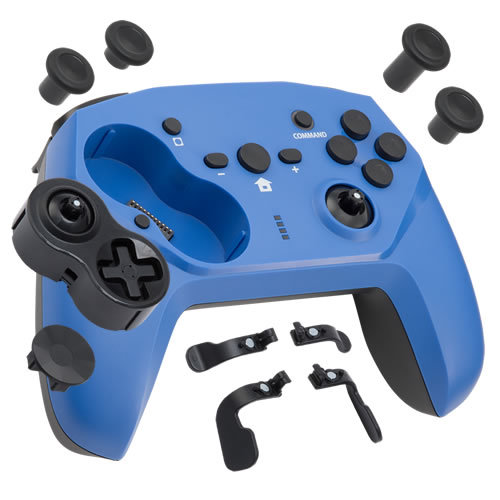 NS CYBER 可拆式無線控制器 藍黑