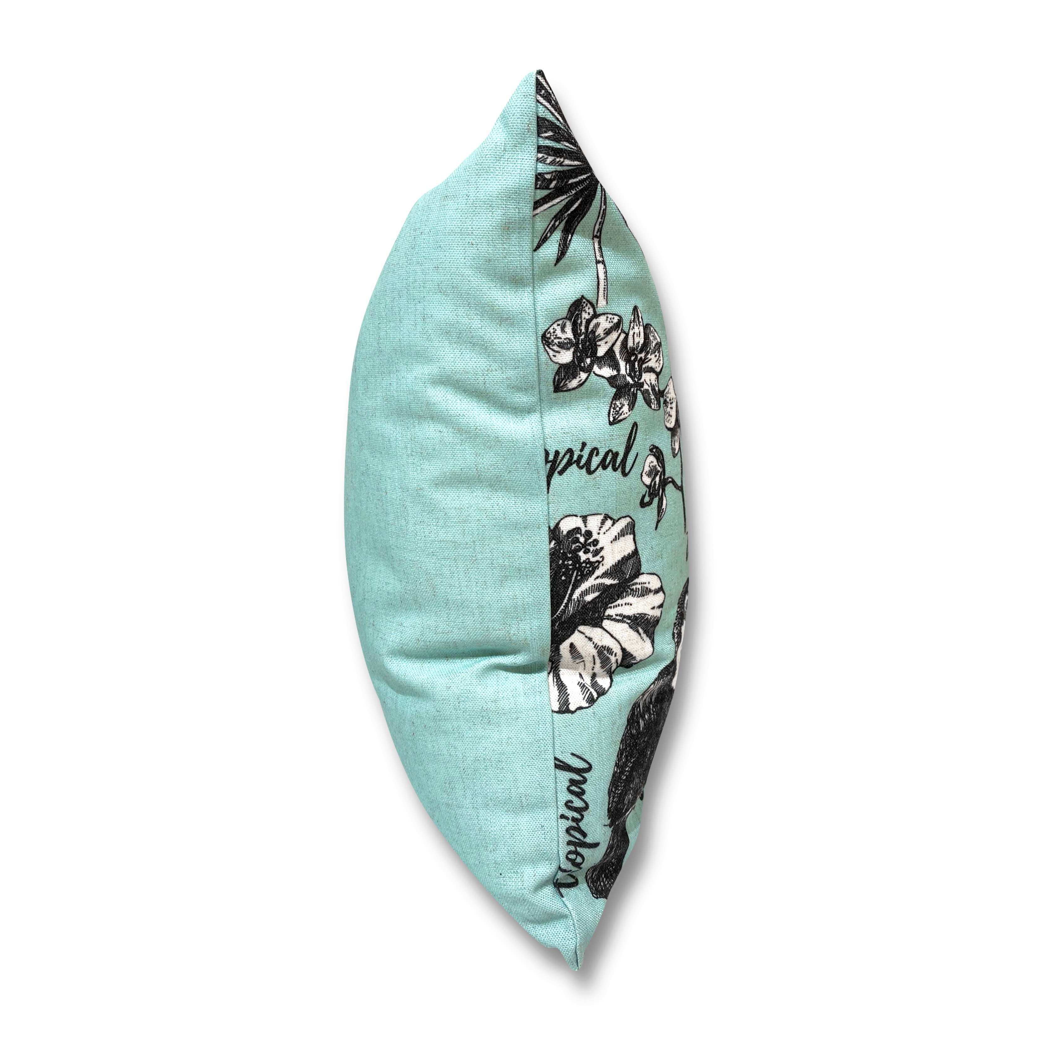 麻質咕𠱸套 (熱帶雀鳥)