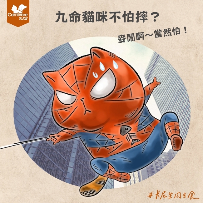 貓咪真的不怕從高處摔落嗎？