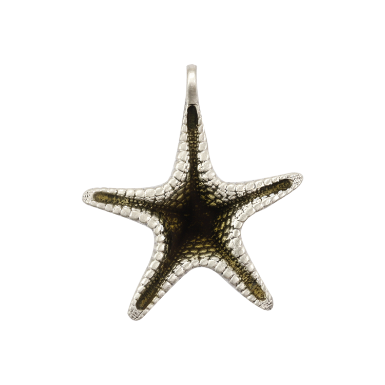 Bico吊墜，男士吊墜 深海海星；海洋中的星芒 不含鍊子（1718黑色）