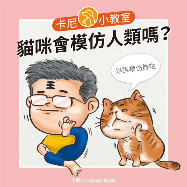 貓咪會模仿人類的動作舉止嗎？