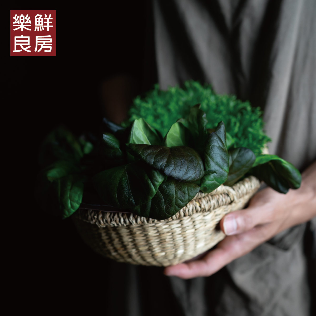 蔬菜箱推薦懶人福音！無毒水耕鮮蔬直上餐桌，吃出「蔬菜力」