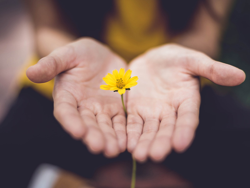 AGRICOLA是拉丁語「農人」的意思，也表達了品牌成立的初衷。