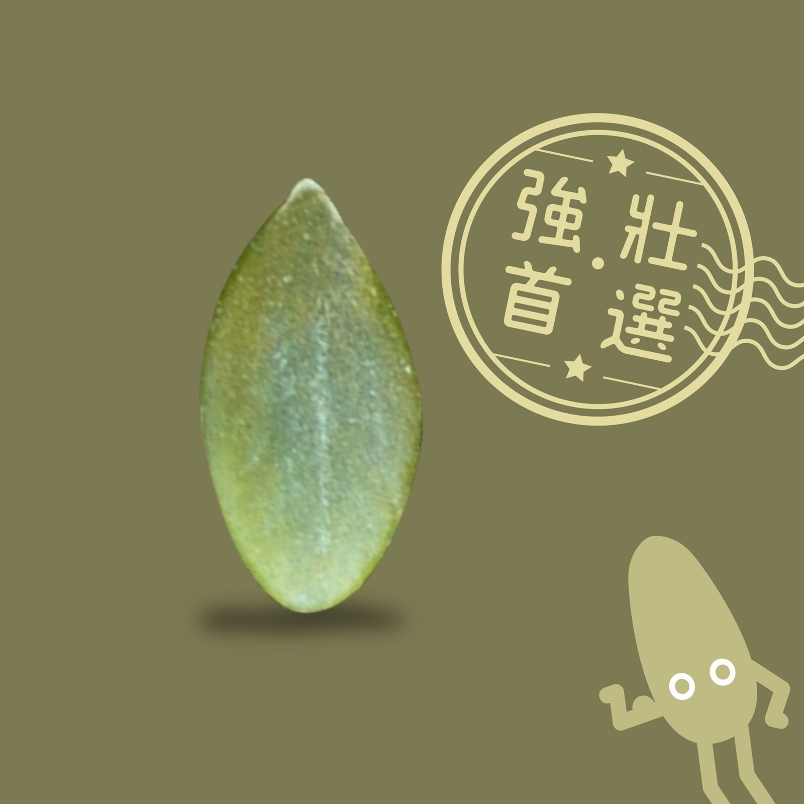 強壯南瓜子