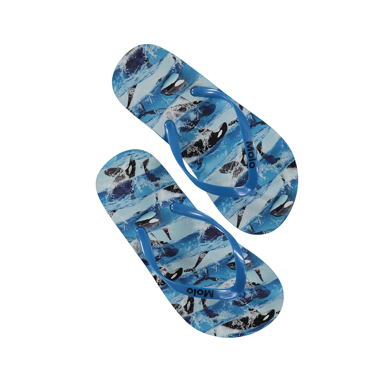 〖 Molo 〗藍色鯨魚人字拖鞋