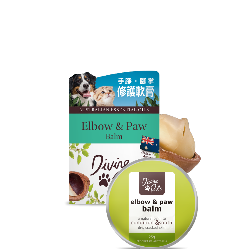 Divine Pets 手踭．腳掌修護軟膏 25g