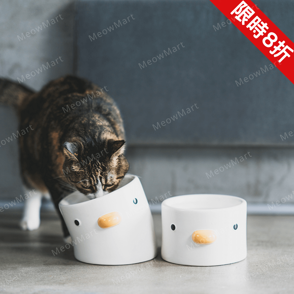 【限定8折】陶瓷小雞護頸貓碗