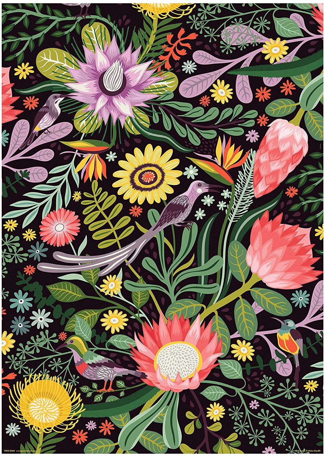 【FRED】開普敦花園 1000片拼圖