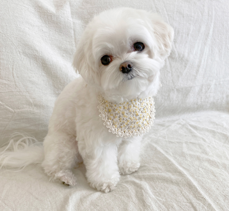 EYOU 小花寶寶圍兜兜