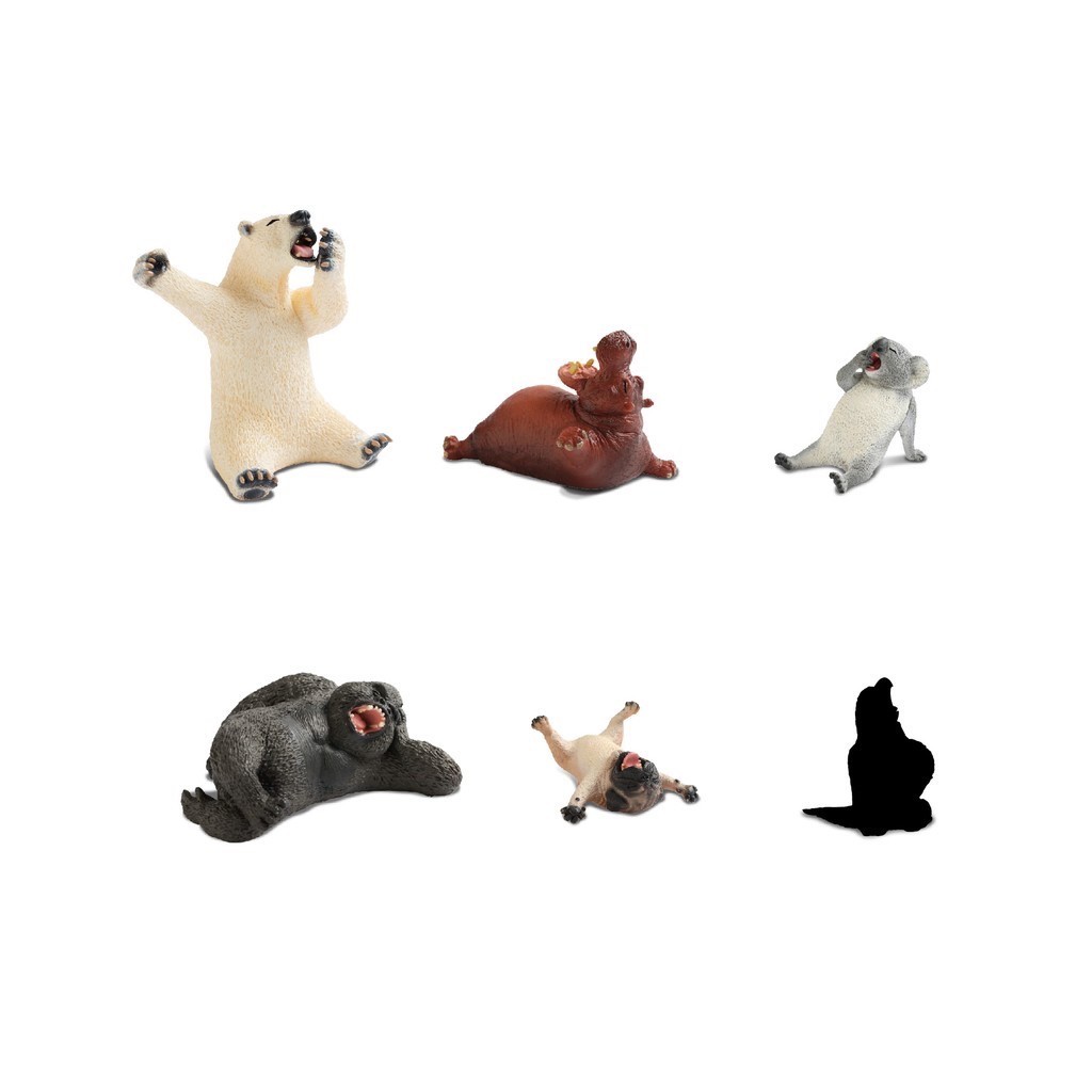 Animal Life愛睏 [單盒]