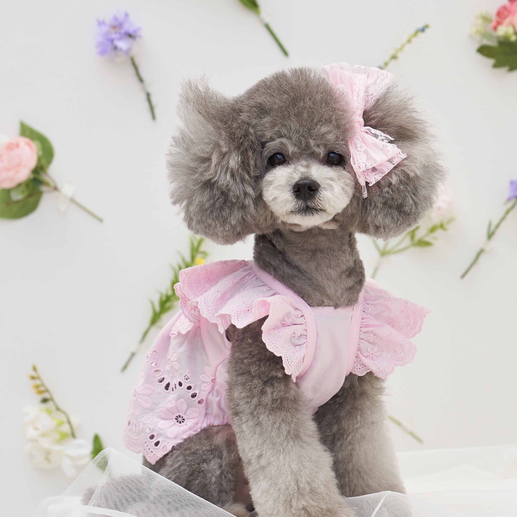 天使 Angel Ops 燦爛的夏裝-髮飾 髮夾 三色-It’s sunny outside