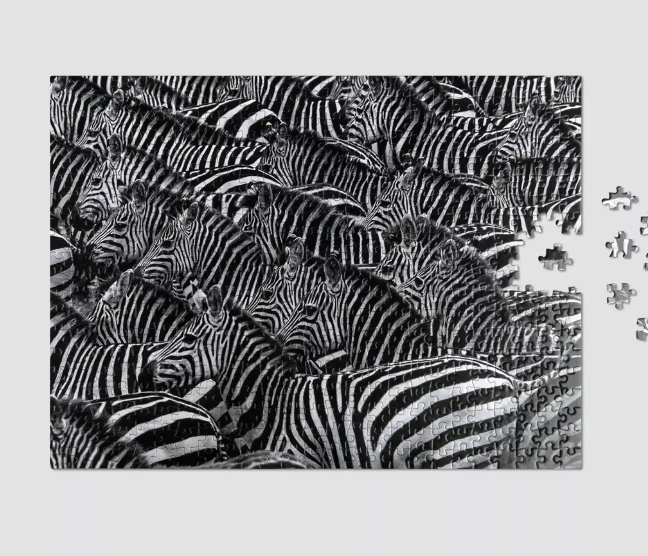現貨｜PRINTWORKS 500 pieces Puzzle - Zebra