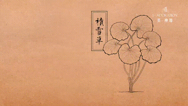 美·神靡 Goddess15_積雪草