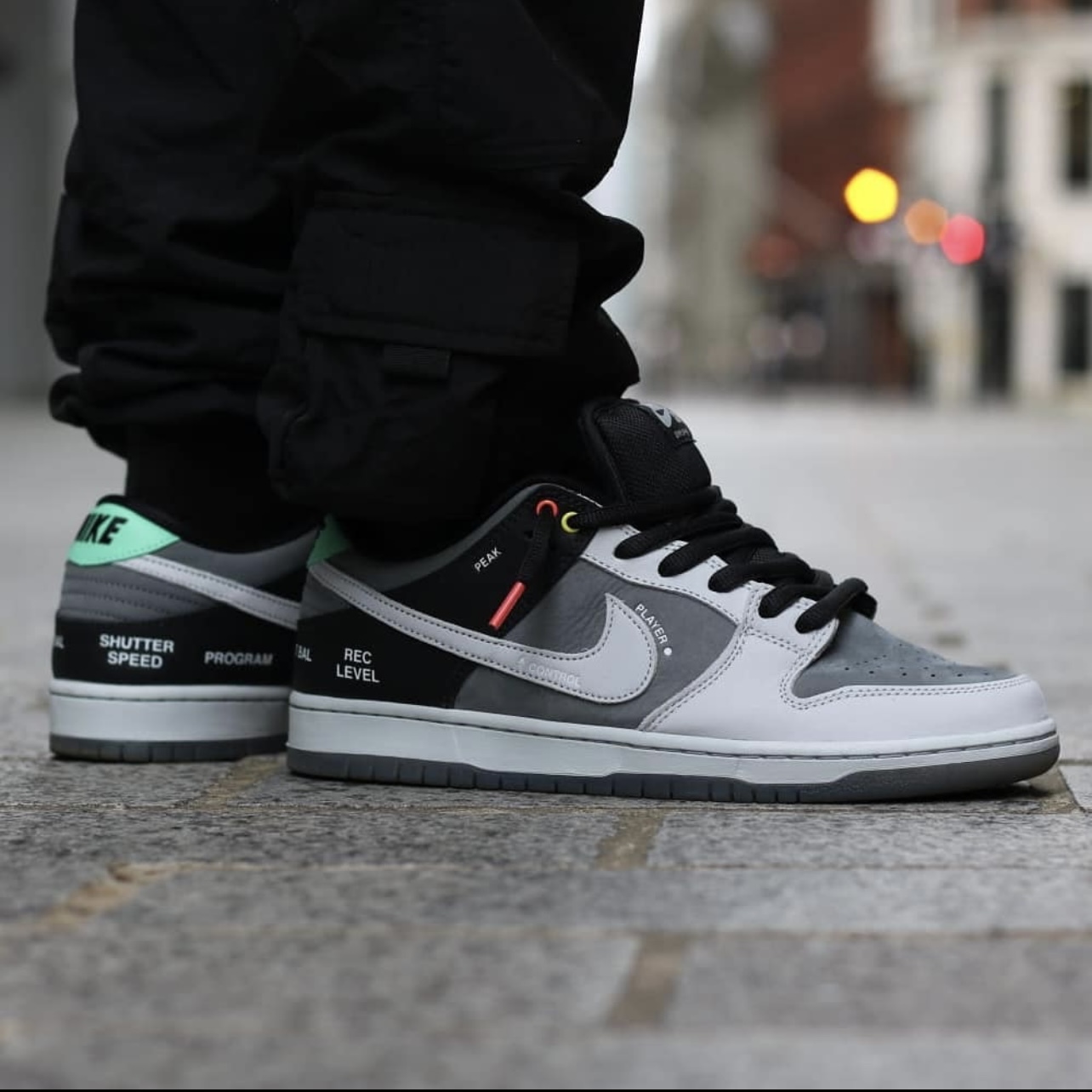 NIKE SB DUNK LOW PRO 