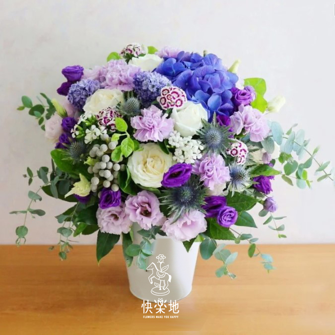 普羅旺斯陽光 I 盆花 AF200321