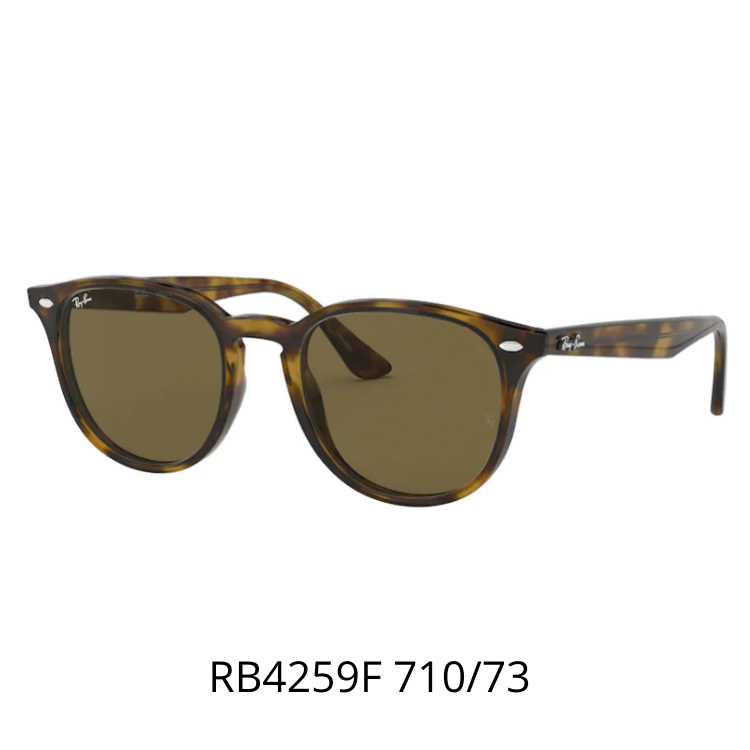 RayBan RB4259F 710/73太陽眼鏡