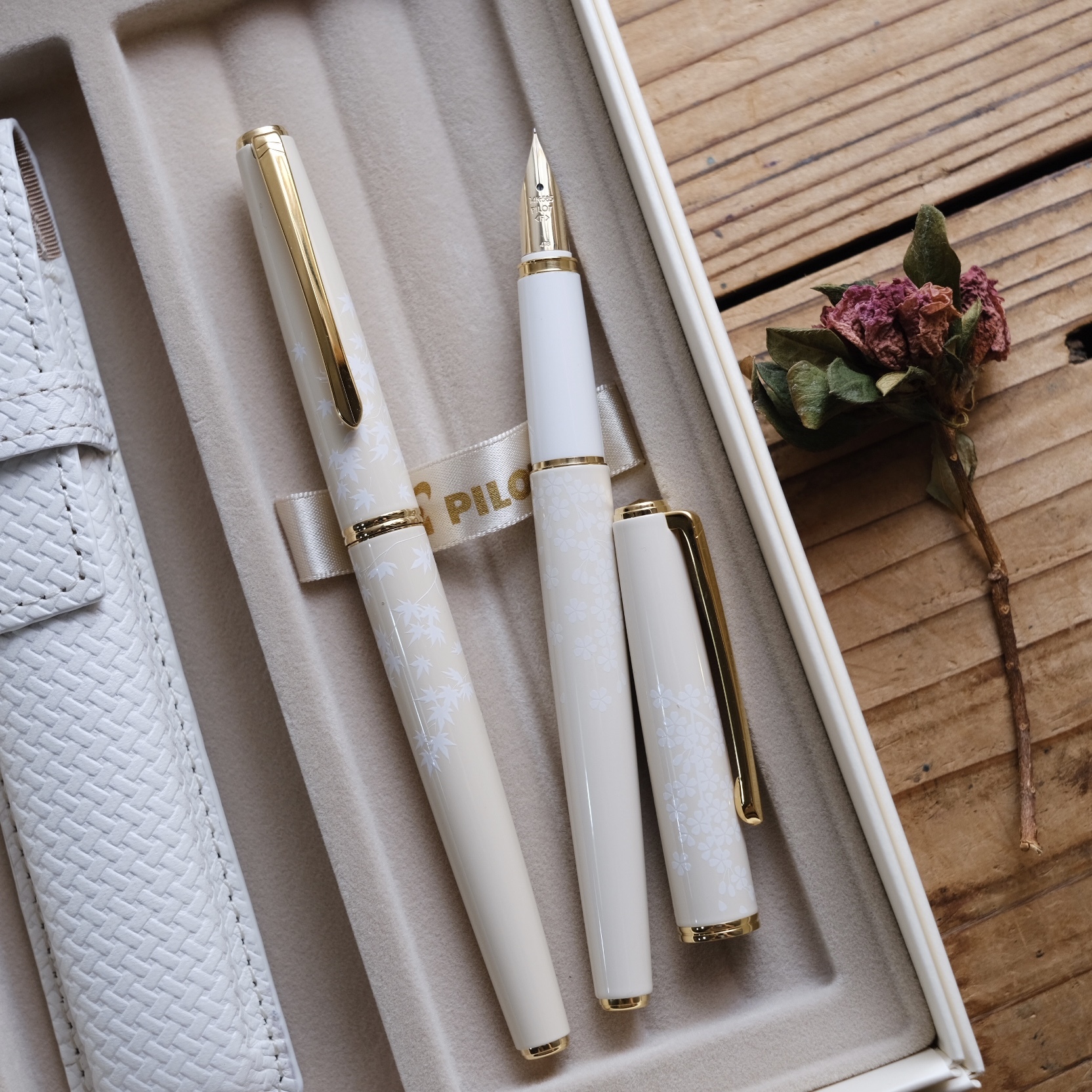 Lady White 鋼筆禮盒組 (櫻花/楓葉)｜日本 百樂 14K金