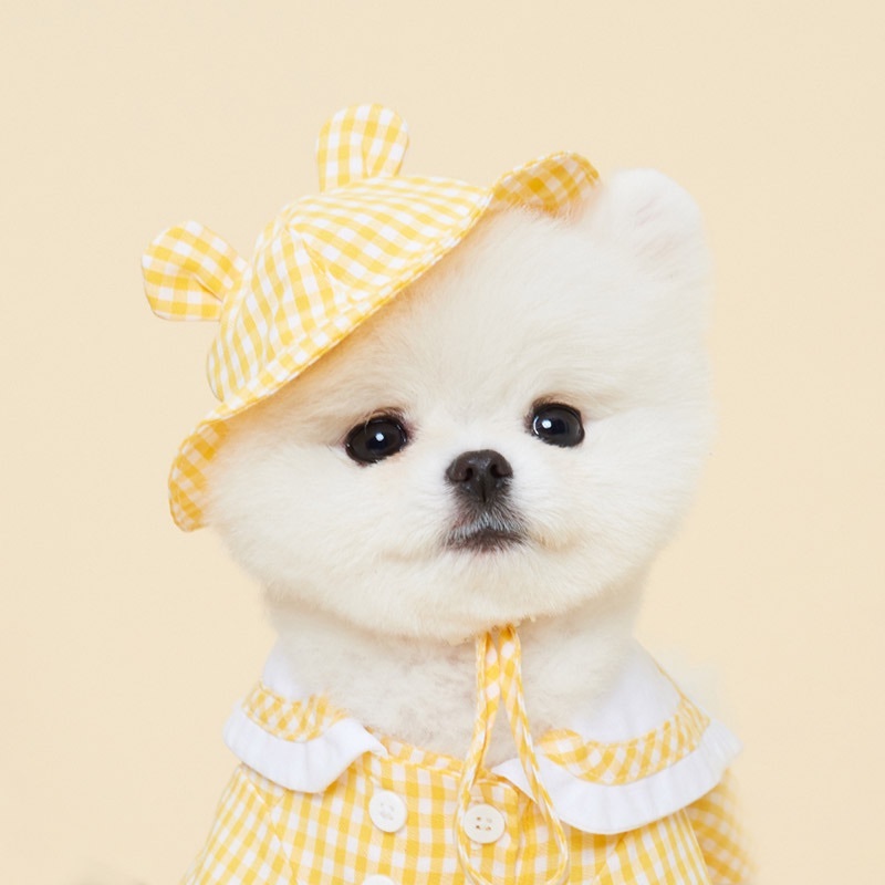 可愛幼兒園-配件-熊帽子-It’s sunny outside