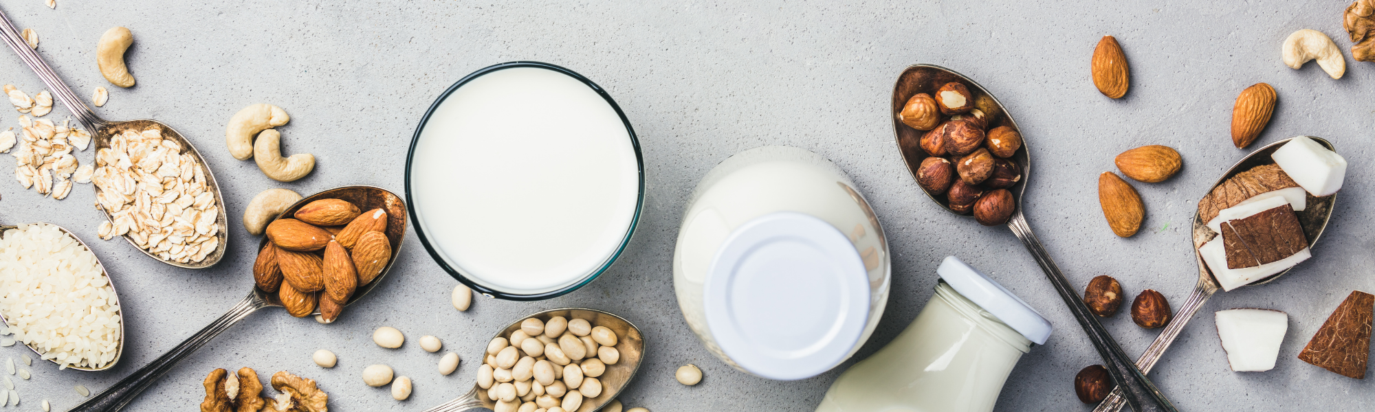 喜食堅果 品牌的誕生