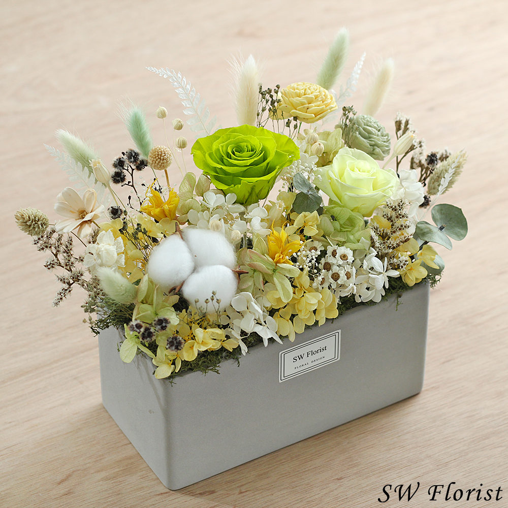 |綠野仙蹤-草原風-永生花盆栽-開幕祝賀禮-家中布置-大型|