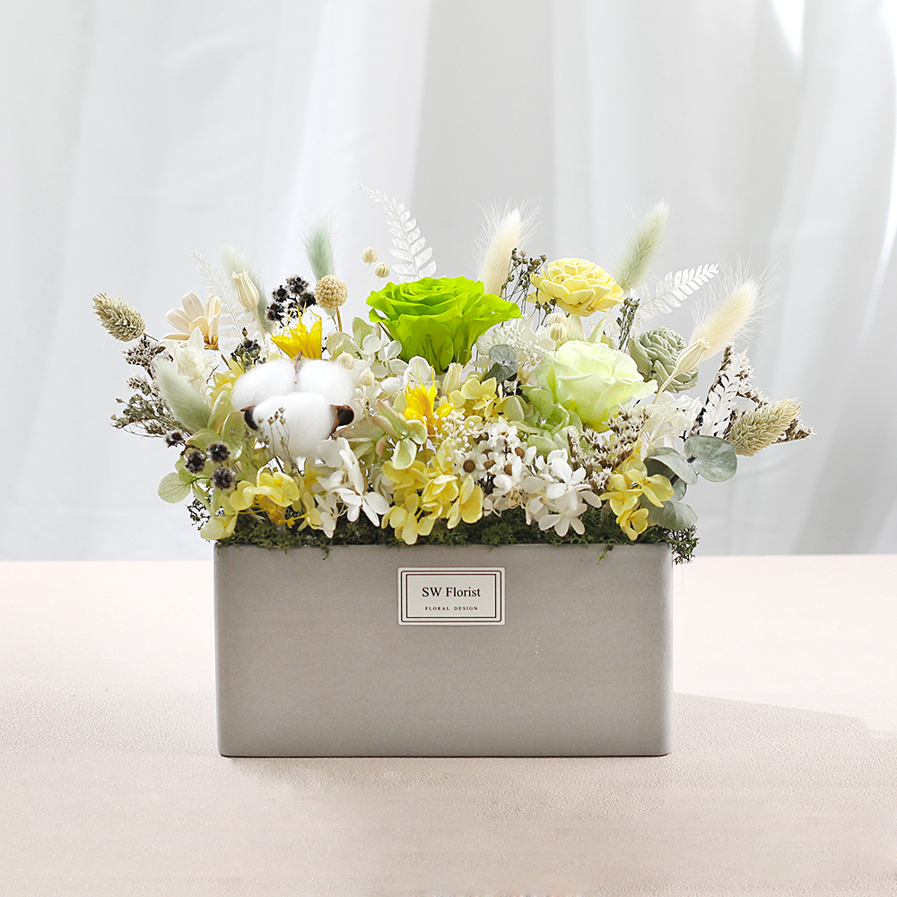 |綠野仙蹤-草原風-永生花盆栽-開幕祝賀禮-家中布置-大型|