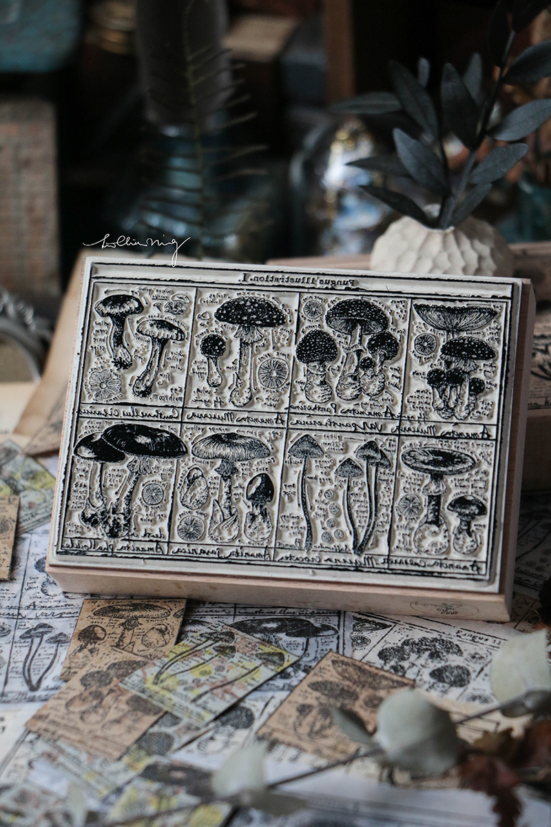 吉 菇圖鑑印章 I