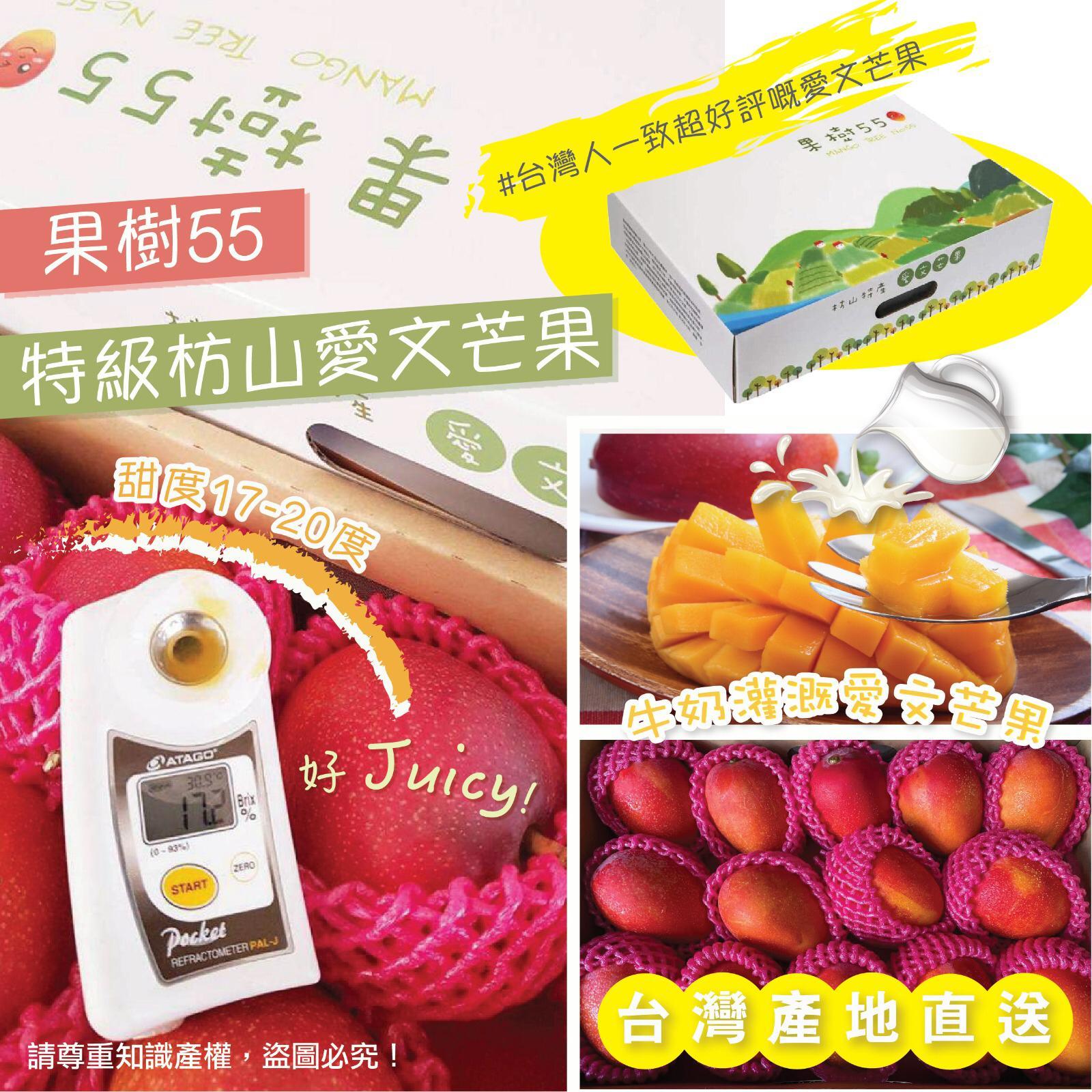 台灣屏東枋山愛文芒果