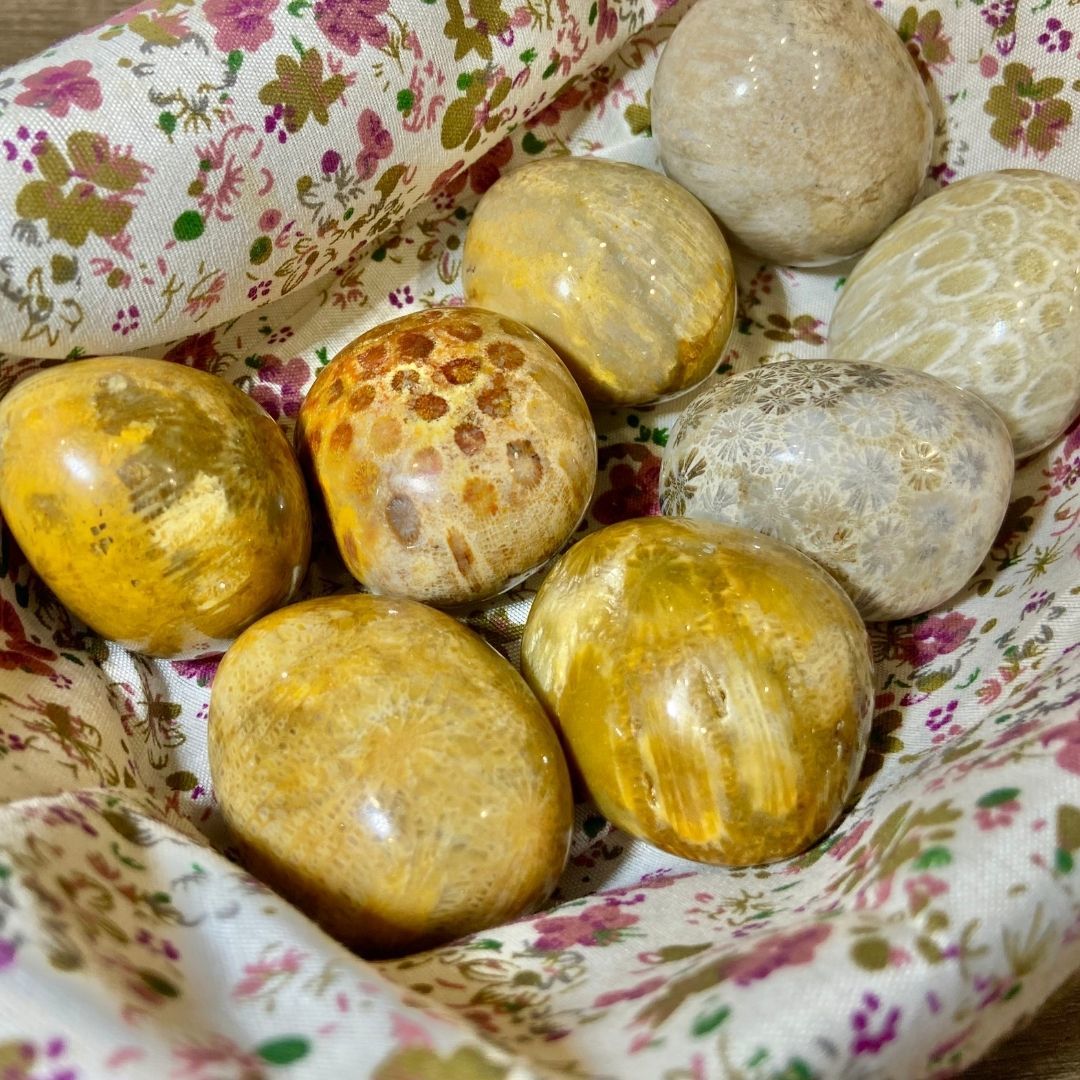 原石02珊瑚玉/能量石/珠寶/飾品/純手工/純天然/療癒/冥想/凈化/護身符/健康運