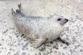 開啟缺貨可接單 - 2 個規格