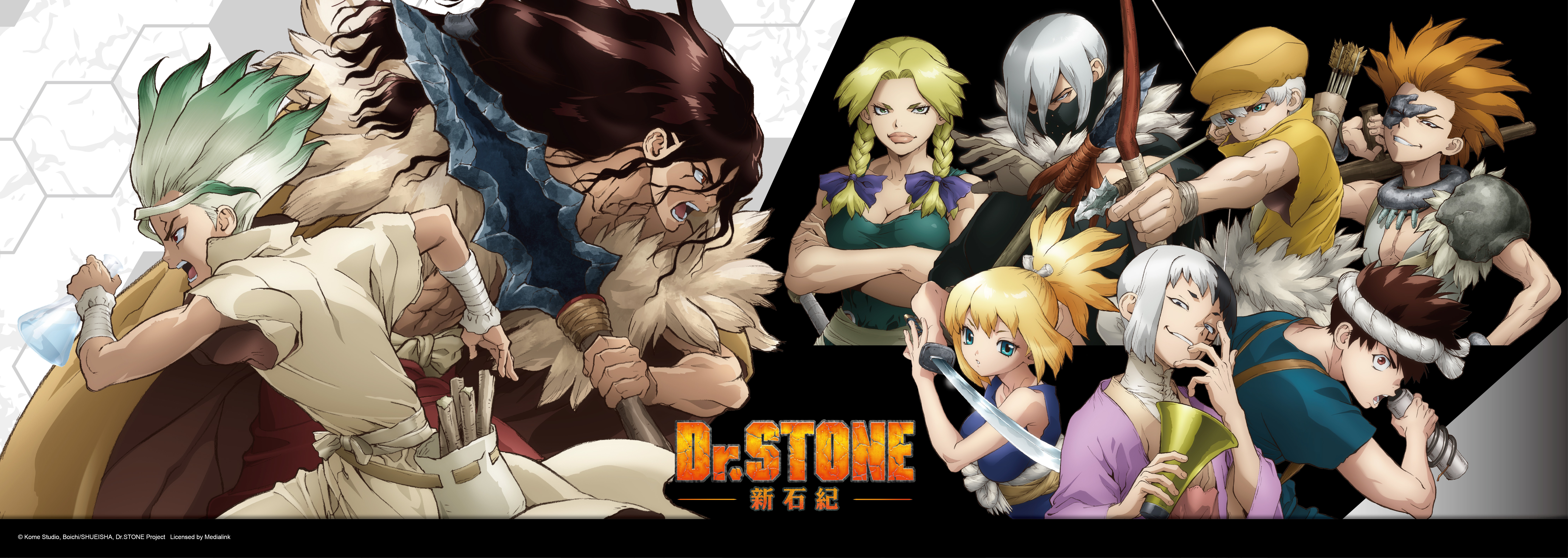 新石紀,Dr.stone,千空,阿鉻,琥珀,獅子王司,淺霧幻