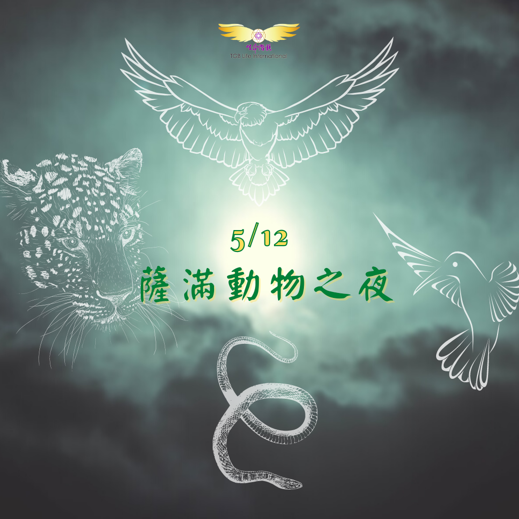 （圓滿完課）【生活靈性】薩滿動物之夜