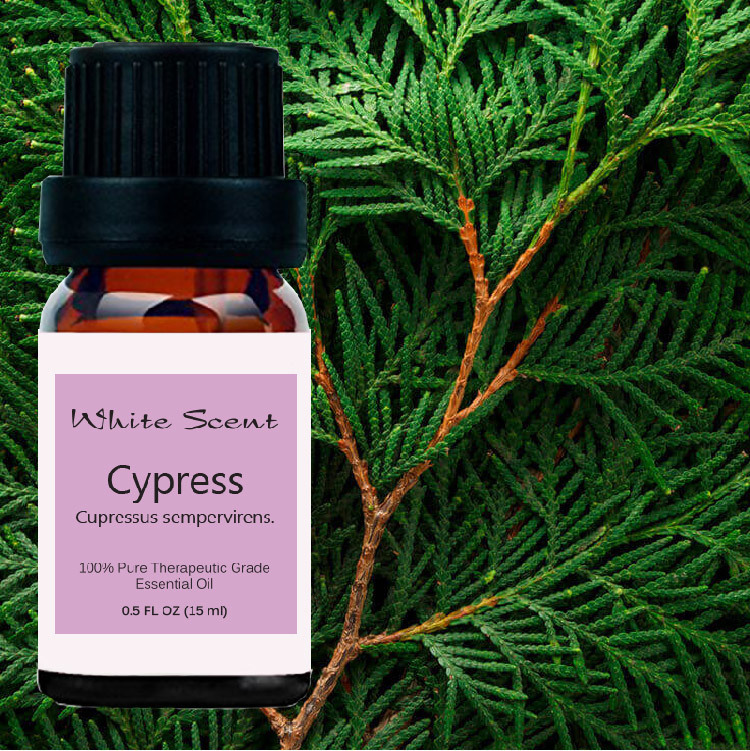 Cypress Essential Oil