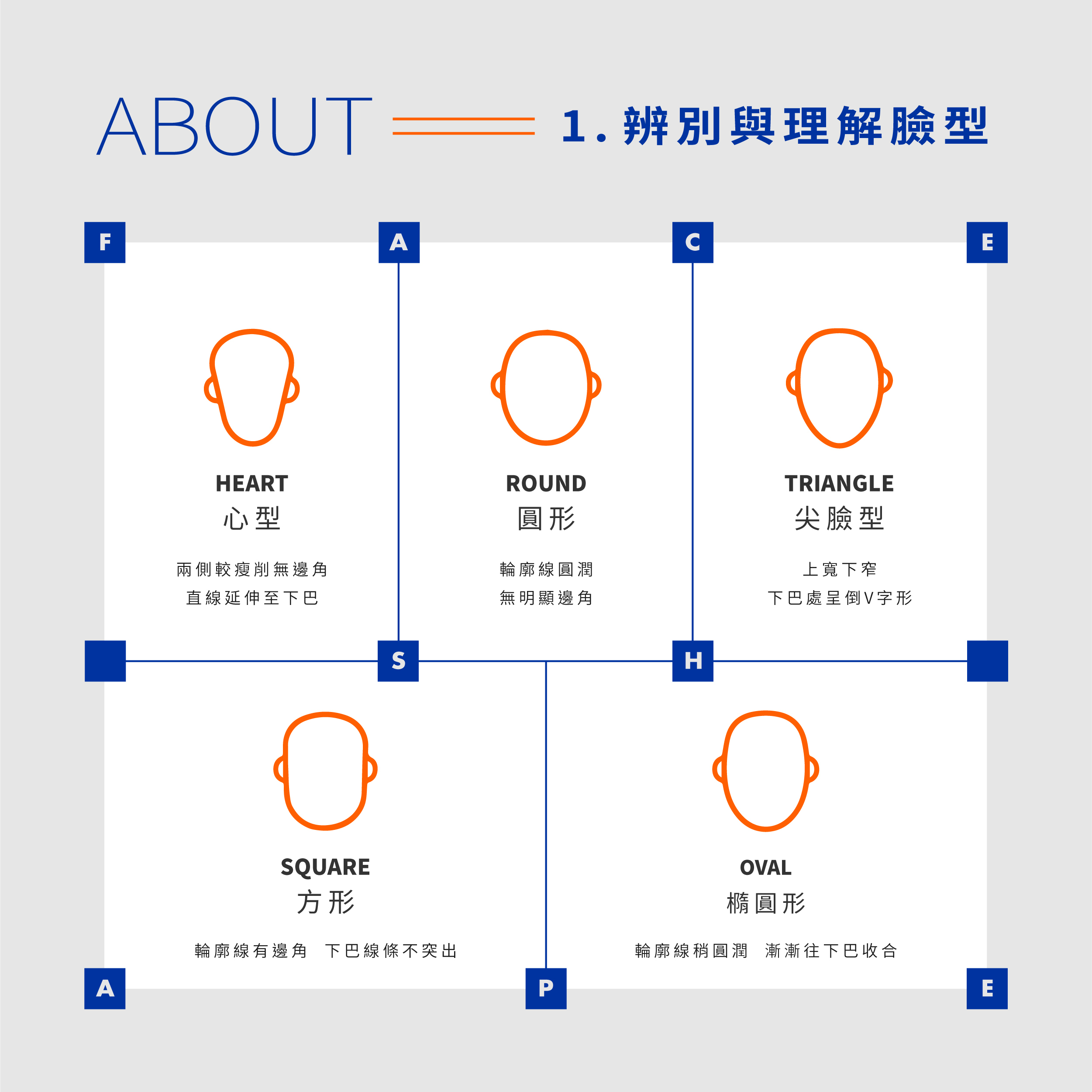 辨別與理解臉型