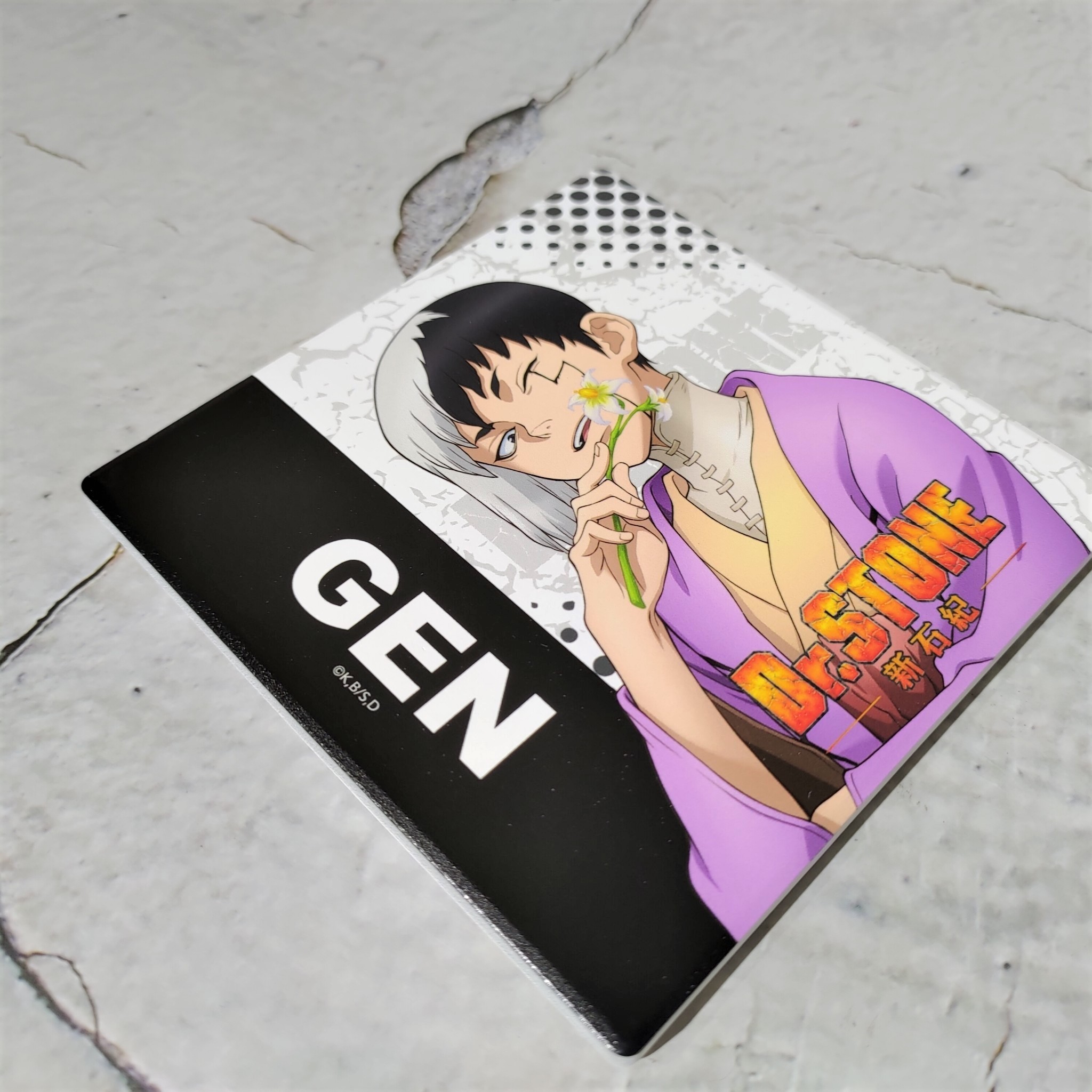 Dr.STONE 新石紀-陶瓷吸水杯墊-淺霧幻款