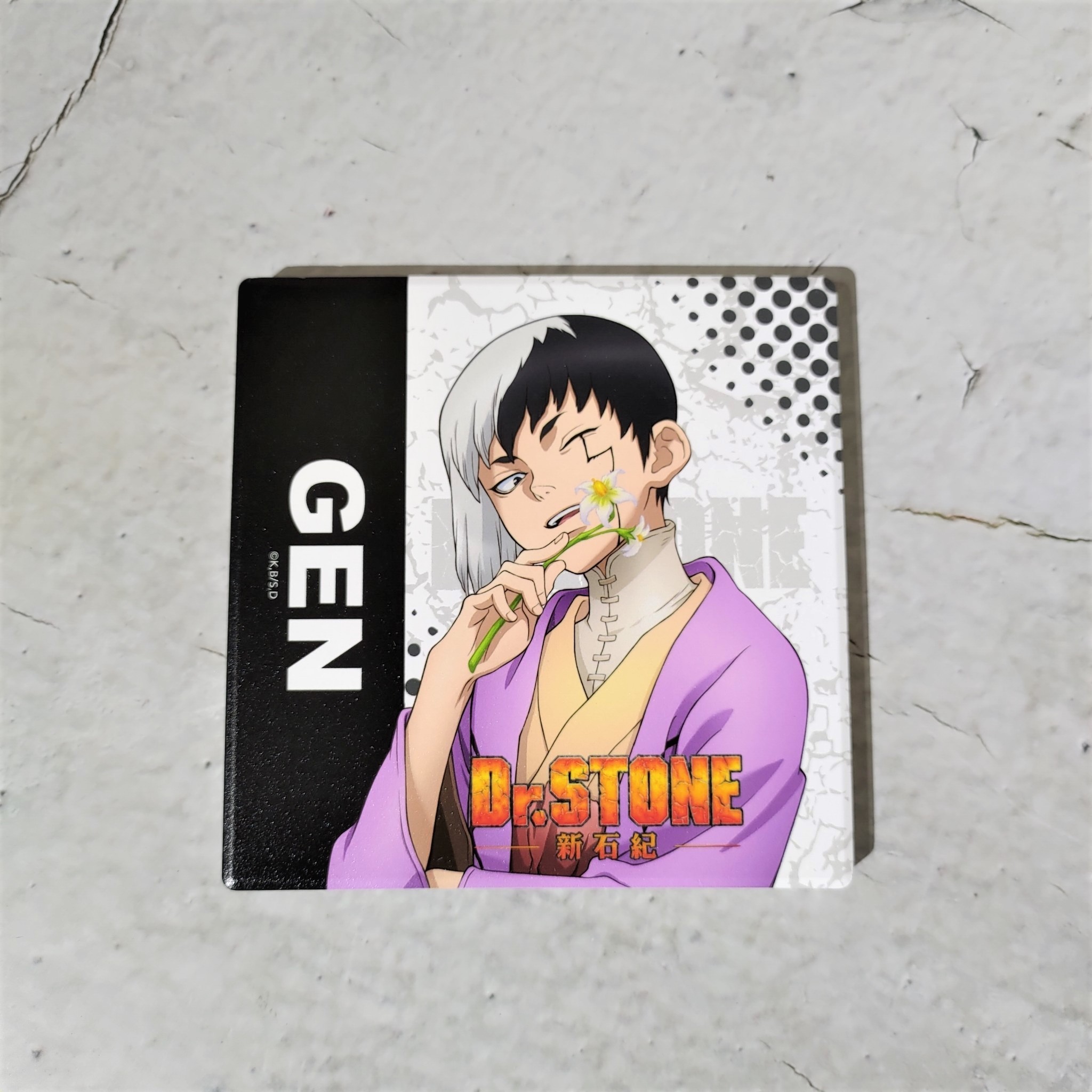 Dr.STONE 新石紀-陶瓷吸水杯墊-淺霧幻款