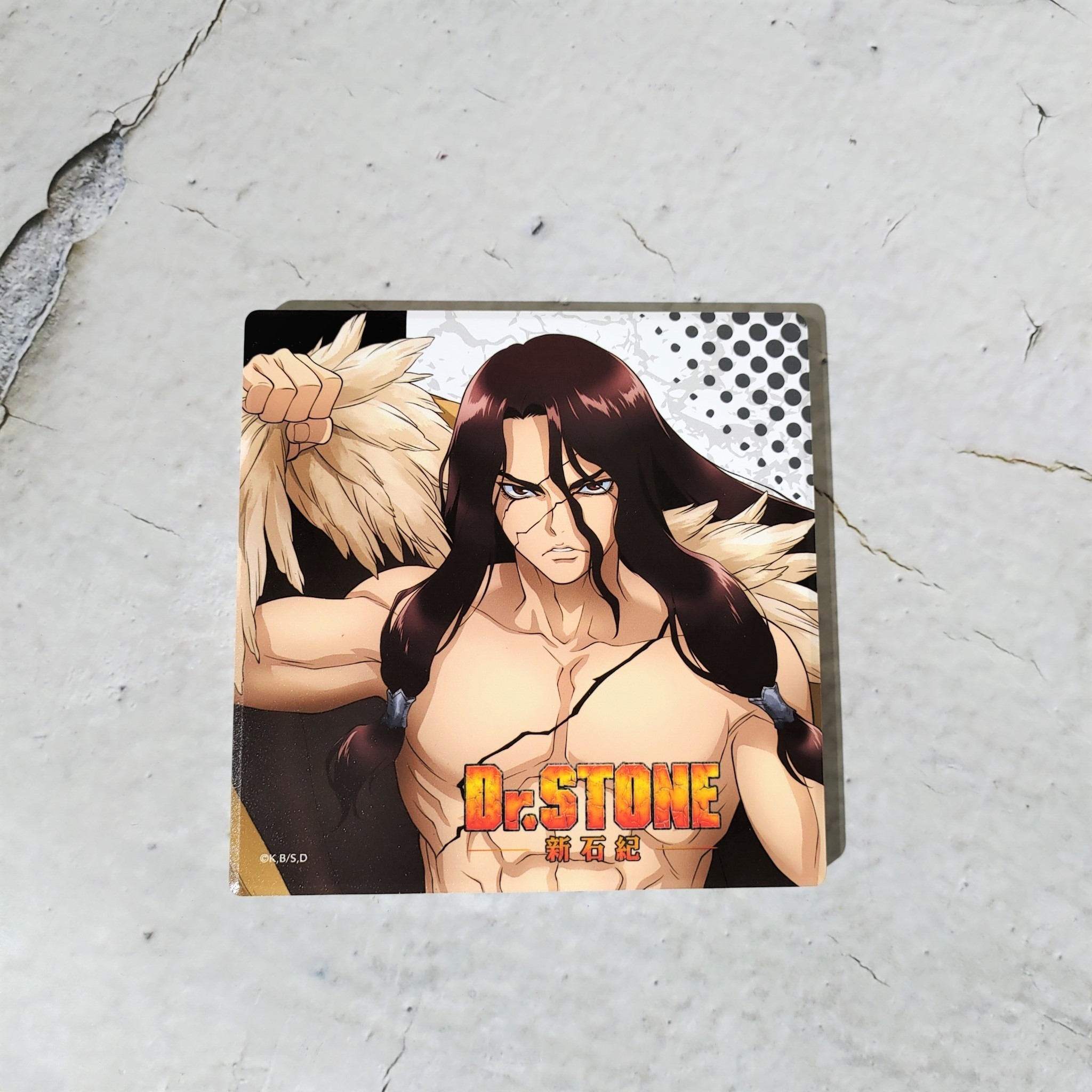 Dr.STONE 新石紀-陶瓷吸水杯墊-獅子王司款