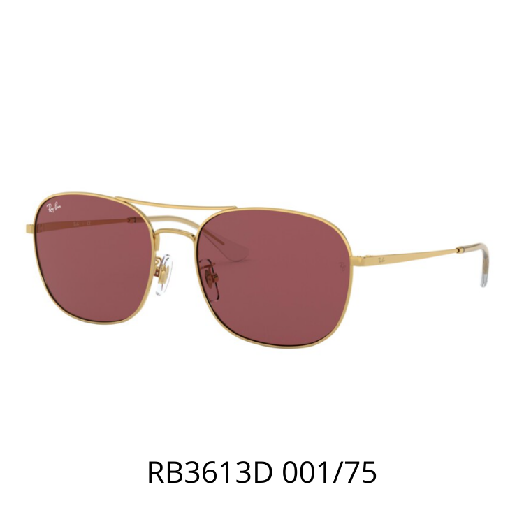 RayBan RB3613D 001/75太陽眼鏡
