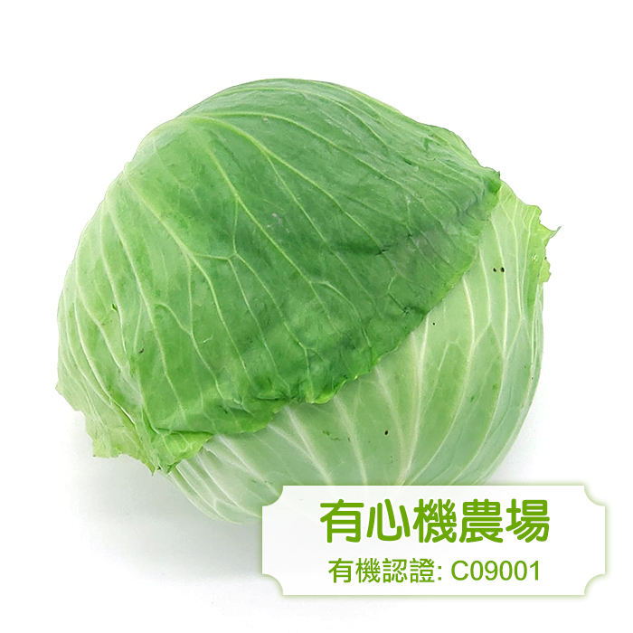 [有心機] Organic Cabbage 有機扁椰菜 (500-600g)