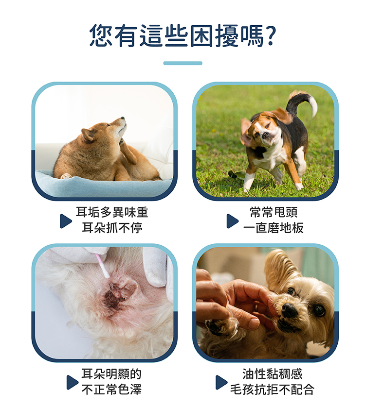 黃金盾寵物潔耳液