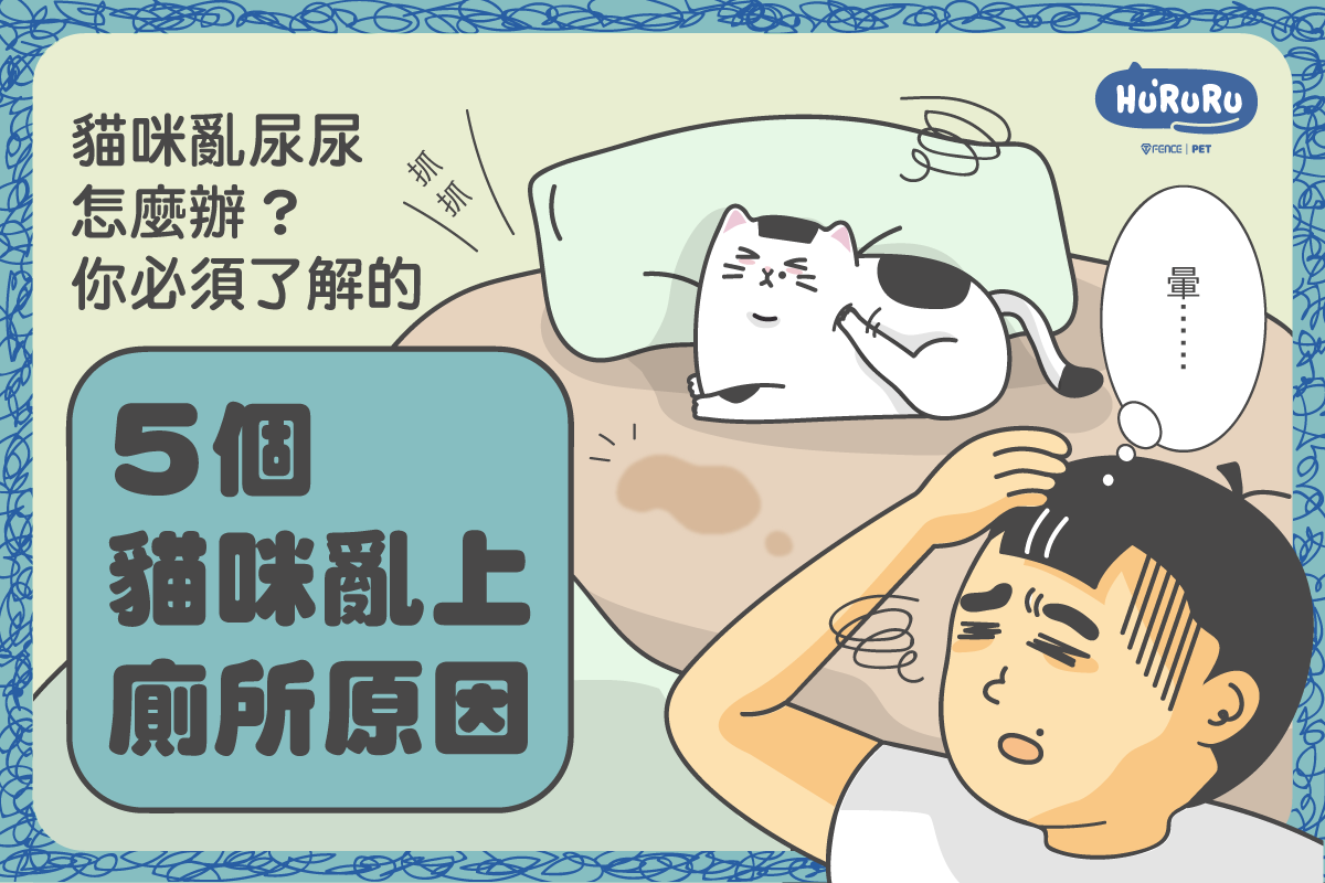 貓咪亂上廁所原因