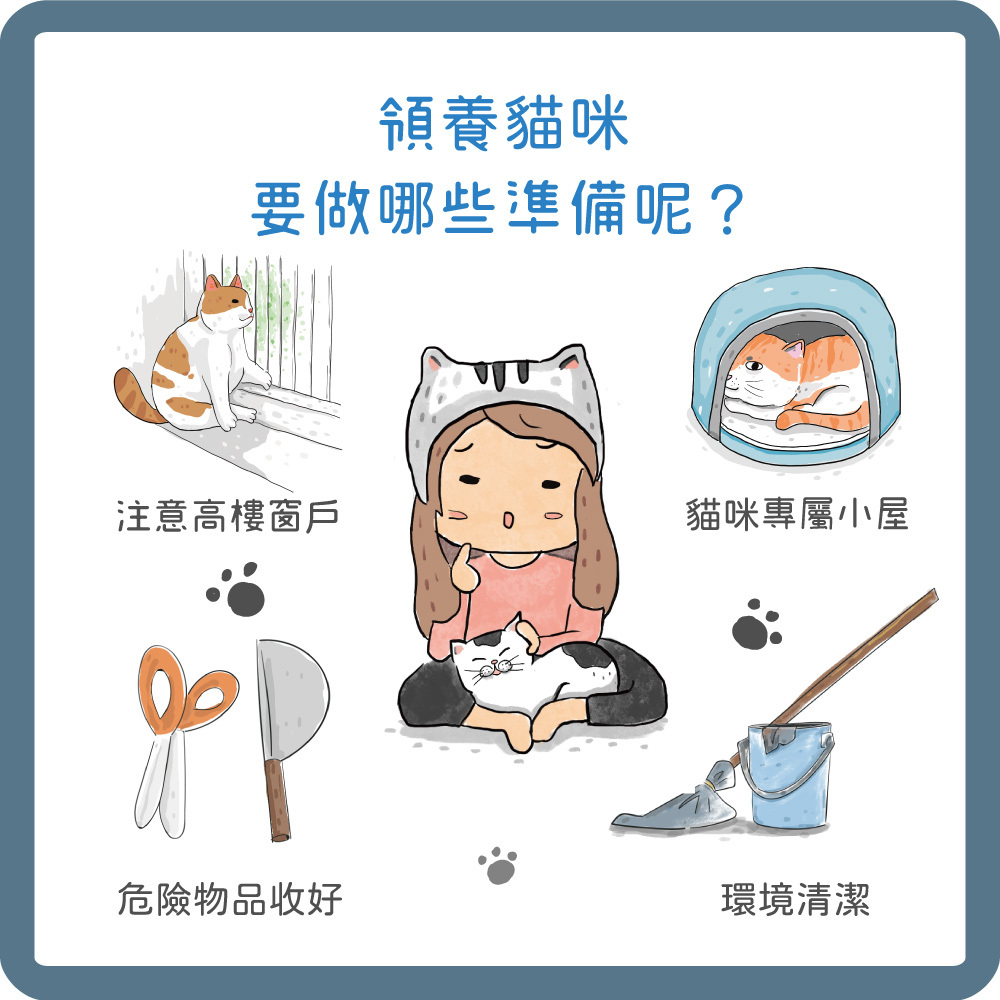 養貓前做好居家環境的準備