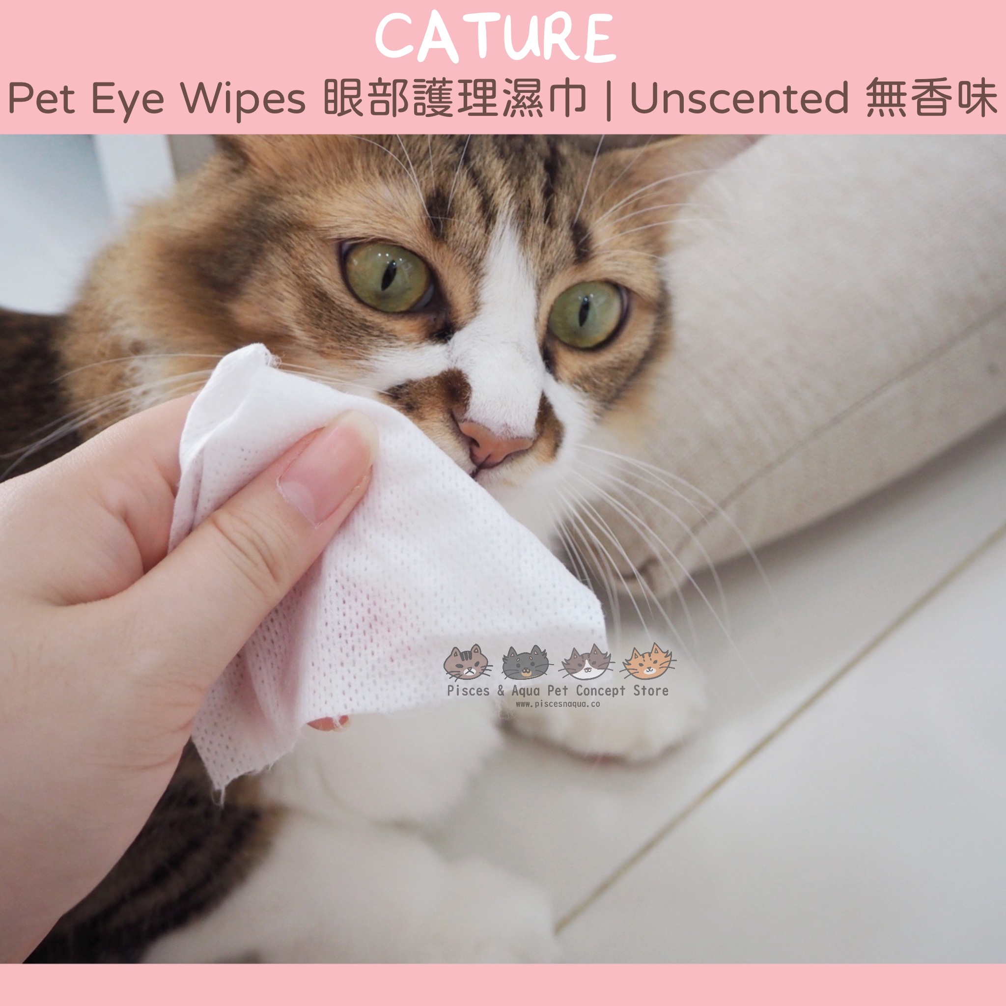 Best cat hotsell eye wipes