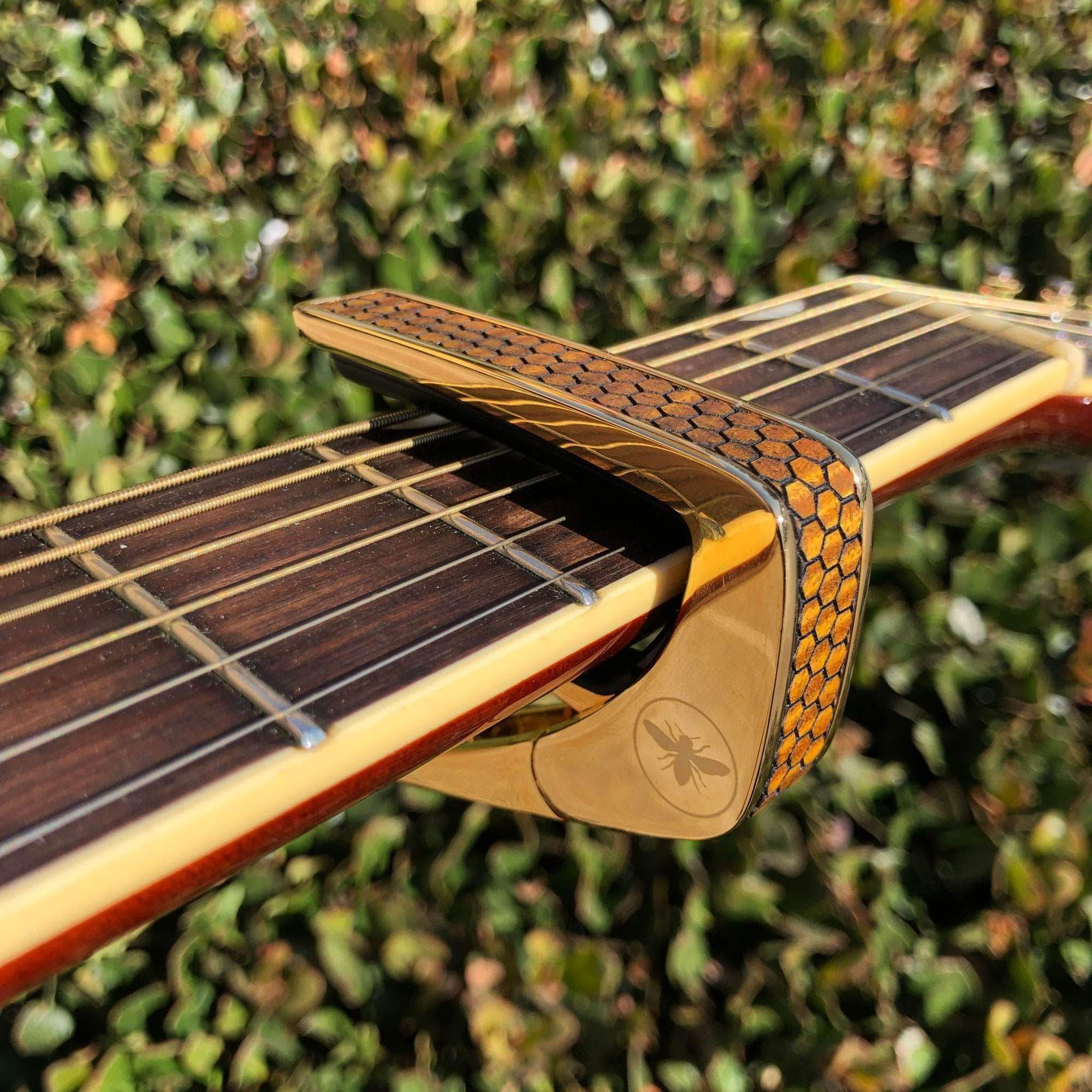 Thalia Capo 200 with  AAA Curly Hawaiian Koa Save The Bees Honeycomb 尊絕移調夾(HK-BEE)