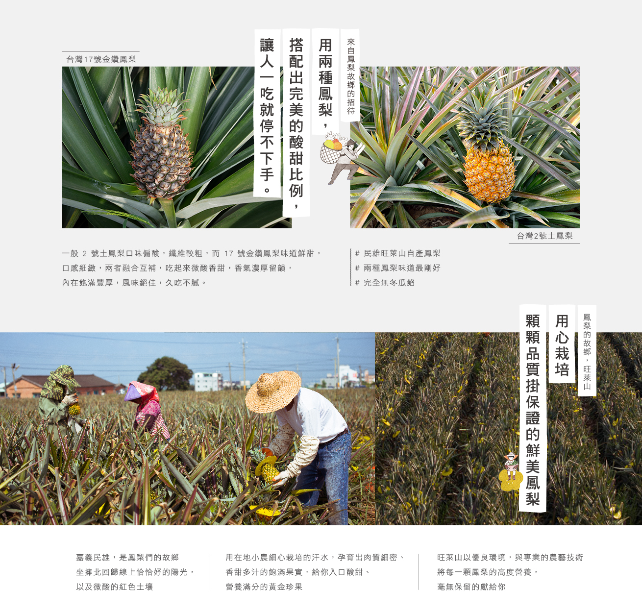 旺萊山鳳梨酥 旺萊山鳳梨酥