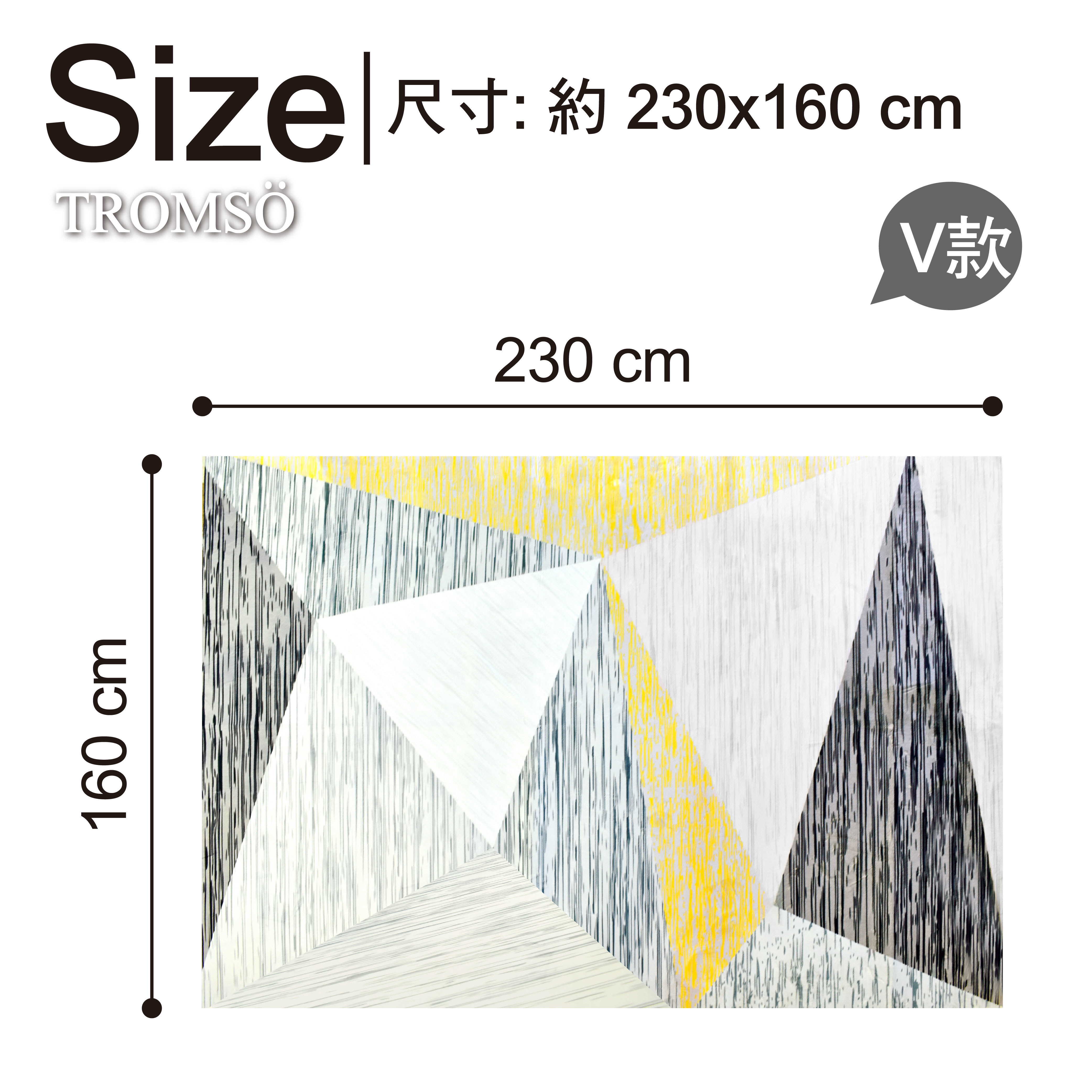 珊瑚絨地毯-特大-V摩登幾何