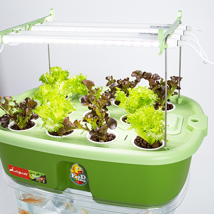 魚菜共生系統V2.0-1